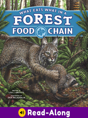 cover image of What Eats What in a Forest Food Chain